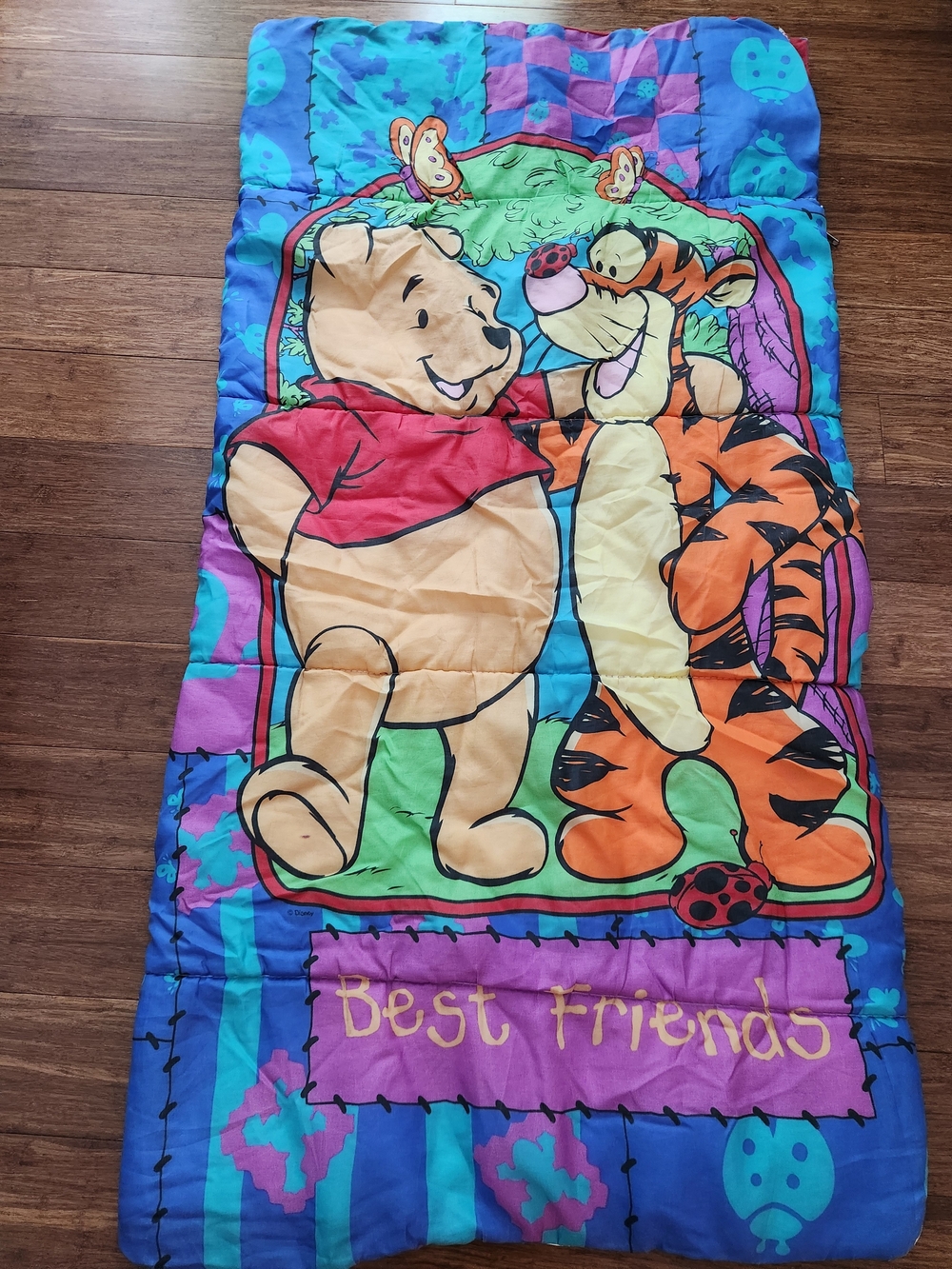 Vintage Winnie the Pooh & Tigger Kids Sleeping Bag Disney Sleepover Collectible